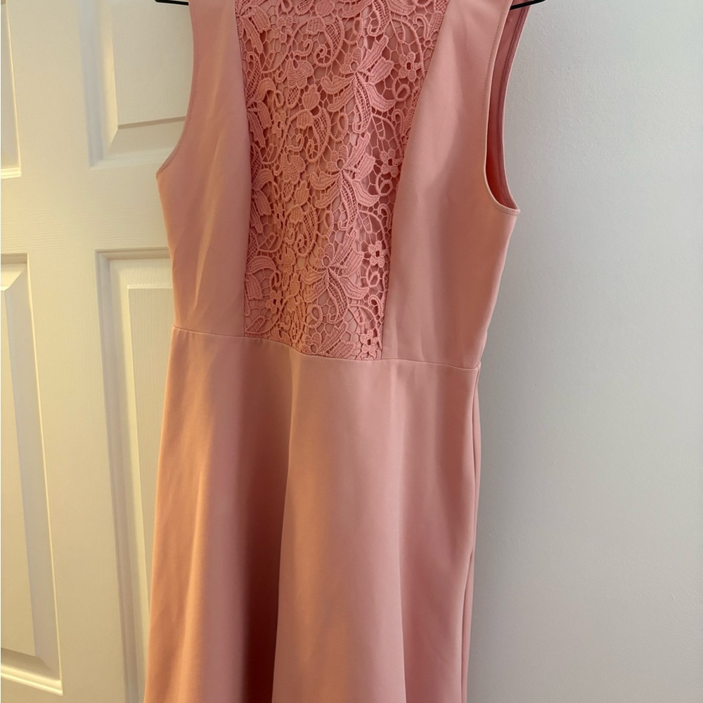 Zara Pink Lace Panel Dress